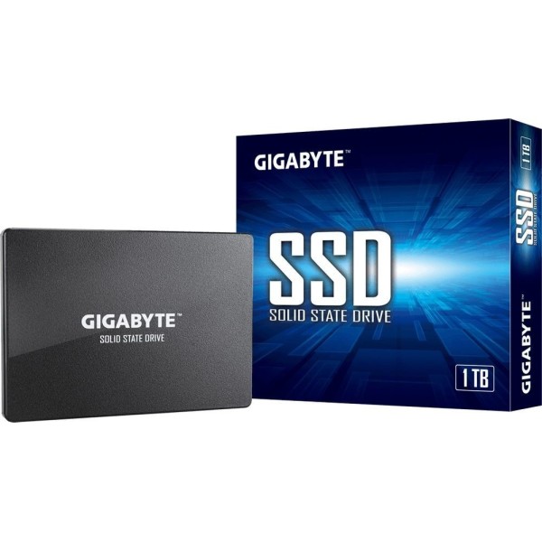 Gigabyte GP-GSTFS31256GTND, 256 Go, 2.5", 520 Mo/s, 6 Gbit/s